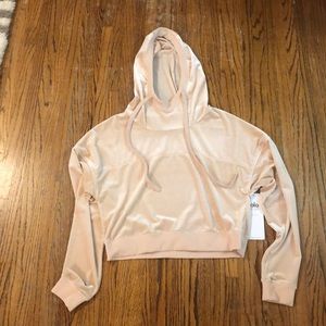 Alo Yoga cropped velour hoodie